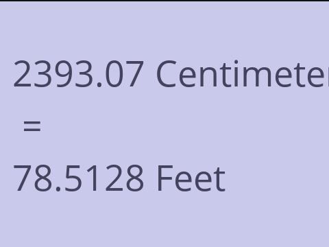 2393.07 CM TO FEET