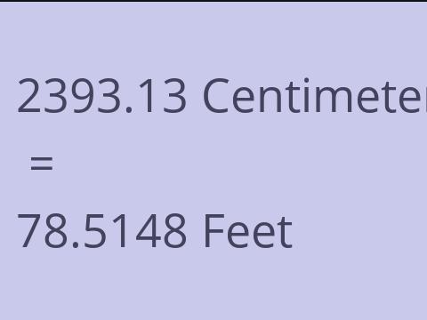 2393.13 CM TO FEET