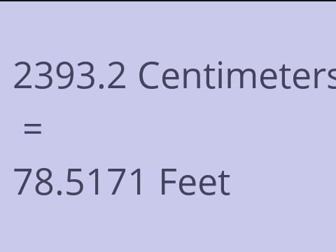 2393.2 CM TO FEET
