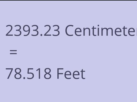 2393.23 CM TO FEET