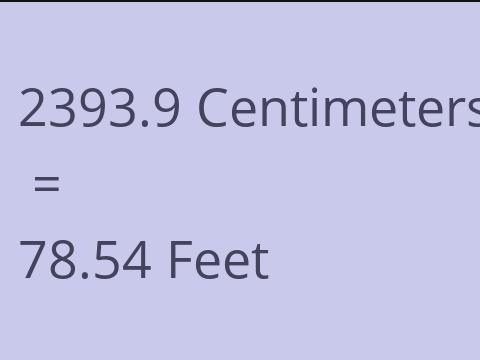 2393.9 CM TO FEET