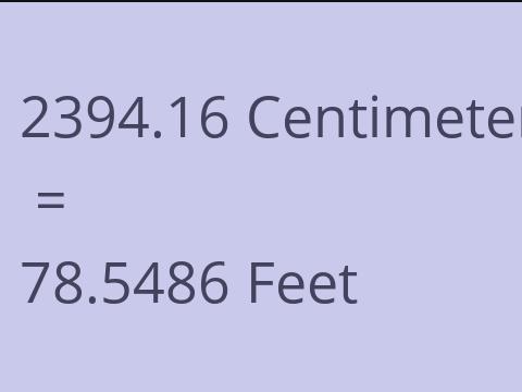 2394.16 CM TO FEET
