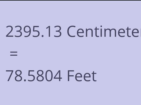 2395.13 CM TO FEET