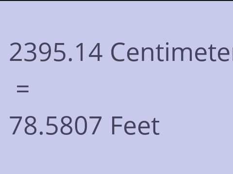 2395.14 CM TO FEET