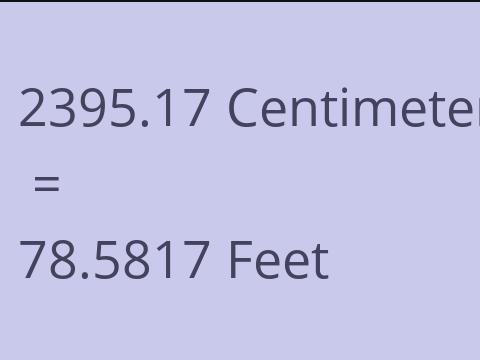 2395.17 CM TO FEET