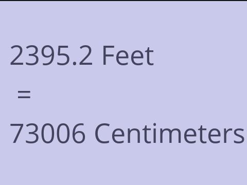 2395.2 FEET TO CM