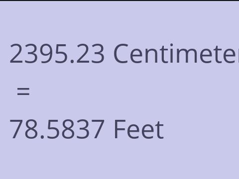 2395.23 CM TO FEET