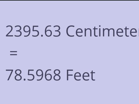 2395.63 CM TO FEET
