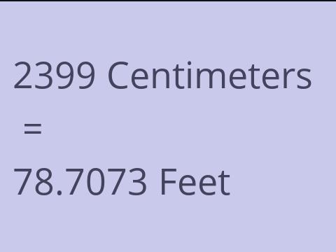 2399 CM TO FEET