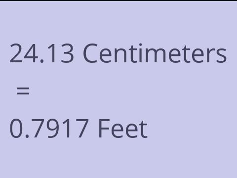 24.13 CM TO FEET