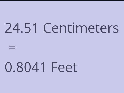 24.51 CM TO FEET