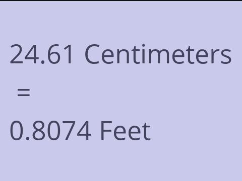 24.61 CM TO FEET