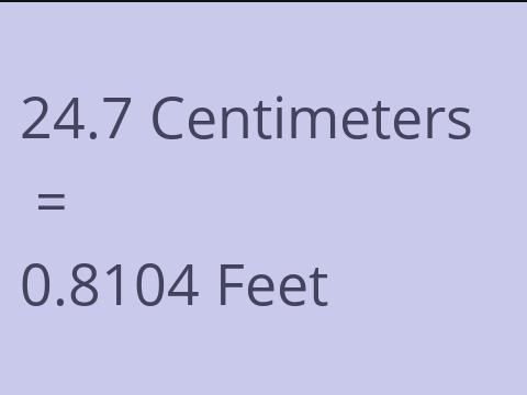 24.7 CM TO FEET