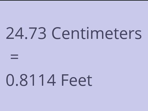 24.73 CM TO FEET