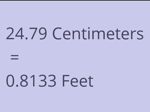 24.79 CM TO FEET