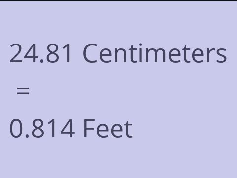 24.81 CM TO FEET