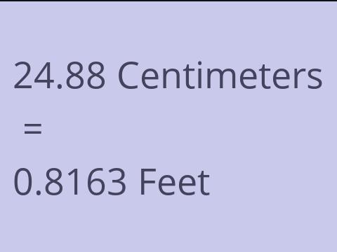 24.88 CM TO FEET