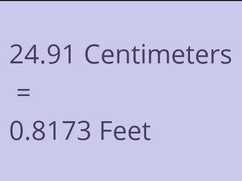 24.91 CM TO FEET