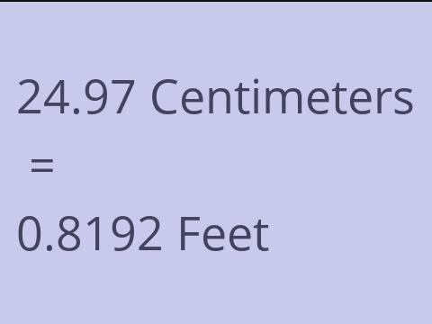 24.97 CM TO FEET