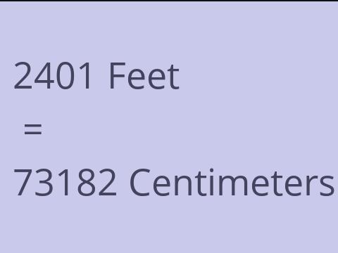 2401 FEET TO CM