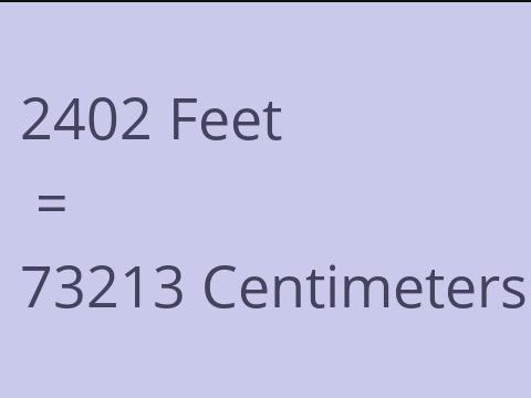 2402 FEET TO CM