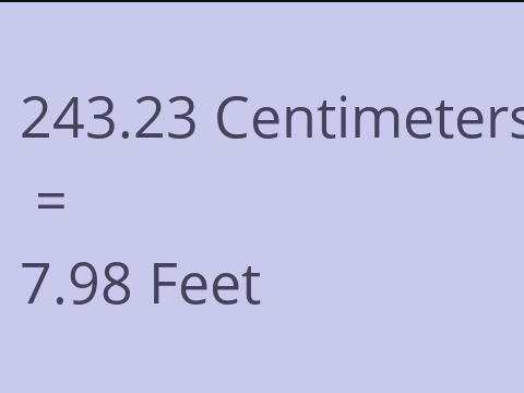 243.23 CM TO FEET