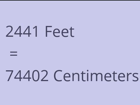 2441 FEET TO CM