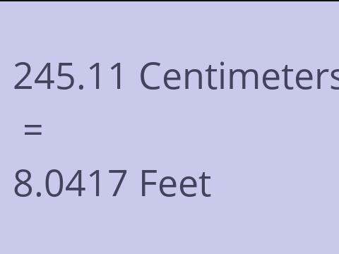 245.11 CM TO FEET