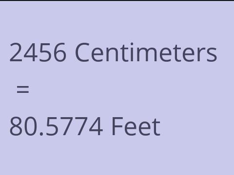 2456 CM TO FEET