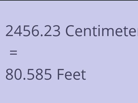 2456.23 CM TO FEET