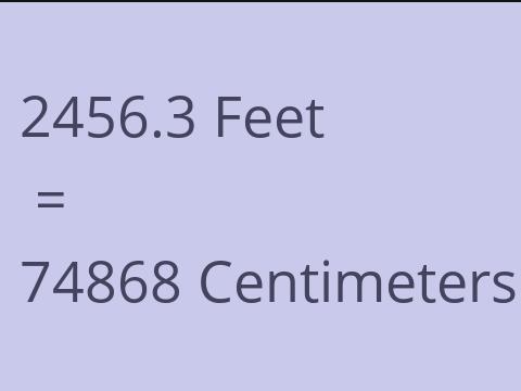 2456.3 FEET TO CM