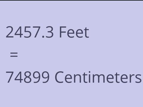 2457.3 FEET TO CM