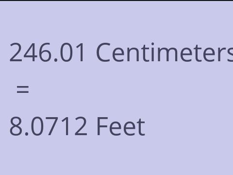 246.01 CM TO FEET