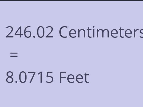 246.02 CM TO FEET