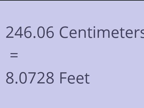 246.06 CM TO FEET