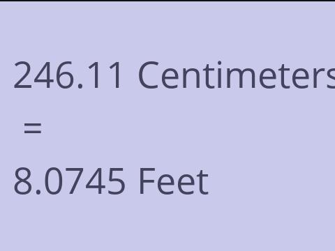 246.11 CM TO FEET