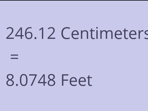 246.12 CM TO FEET