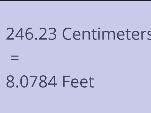 246.23 CM TO FEET