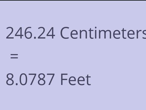 246.24 CM TO FEET