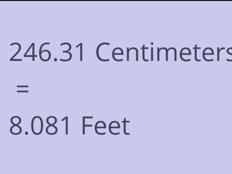 246.31 CM TO FEET