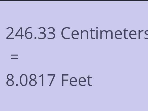 246.33 CM TO FEET