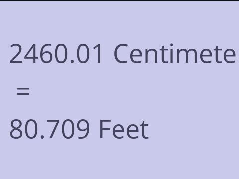 2460.01 CM TO FEET