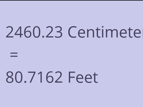 2460.23 CM TO FEET