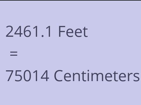 2461.1 FEET TO CM