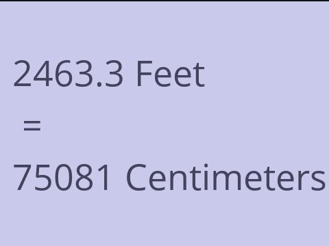 2463.3 FEET TO CM