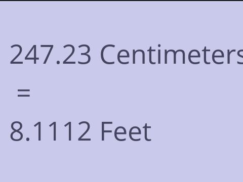 247.23 CM TO FEET