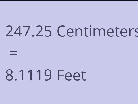 247.25 CM TO FEET