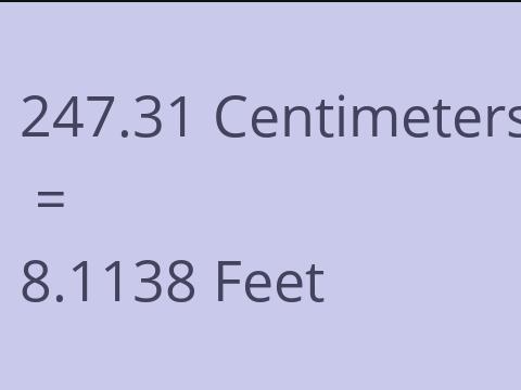 247.31 CM TO FEET