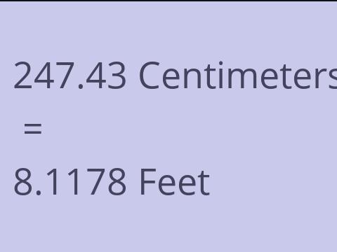 247.43 CM TO FEET