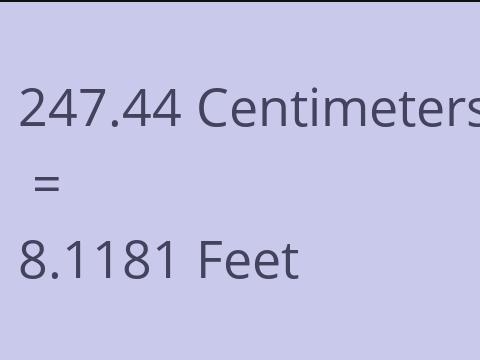 247.44 CM TO FEET